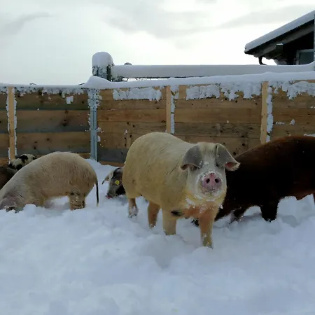 Chalet Almhuette Grosserhuette *