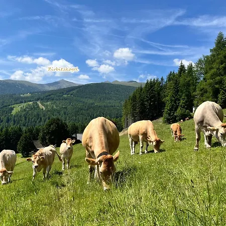 Almhuette Grosserhuette * Sankt Wolfgang