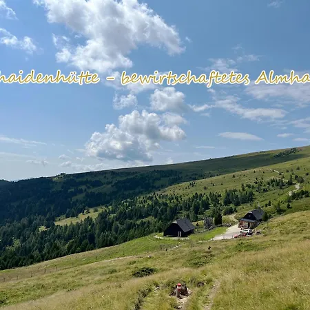 Almhuette Grosserhuette Chalet Sankt Wolfgang