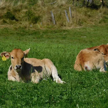 Almhuette Grosserhuette 木屋 *