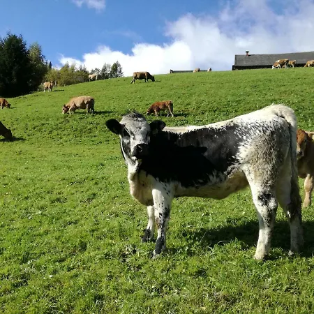 Almhuette Grosserhuette Chalet *