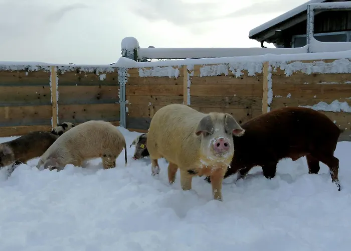 Chalet Almhütte Grosserhütte *