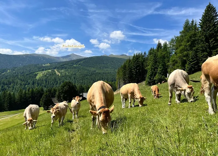 Almhütte Grosserhütte * Sankt Wolfgang