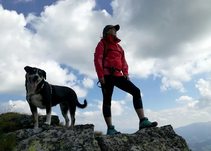 Almhuette Grosserhuette 샬레