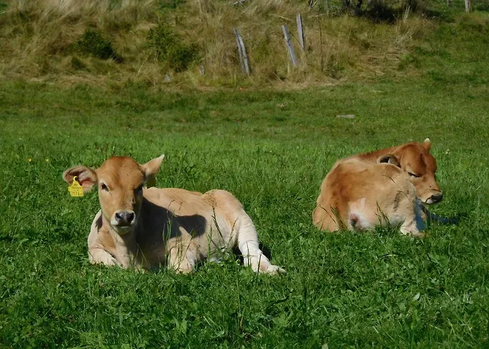 Almhuette Grosserhuette 샬레 *